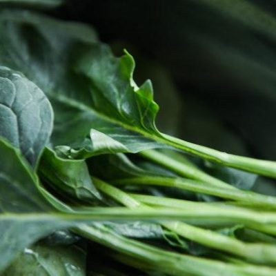Bushel of spinach leaves and stems
